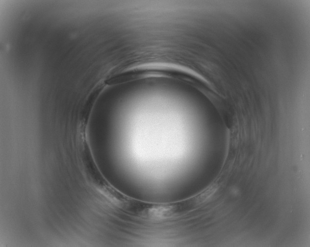 X0000054470172200508122013