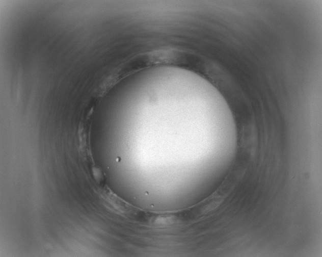 X0000054470173200508122013