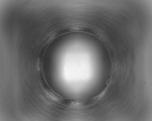 X0000054470174200508122013