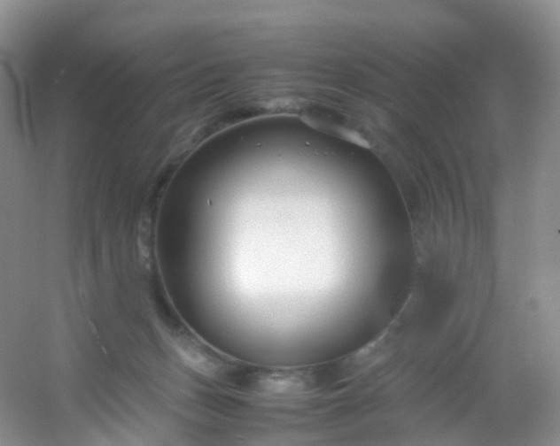 X0000054470175200508122013