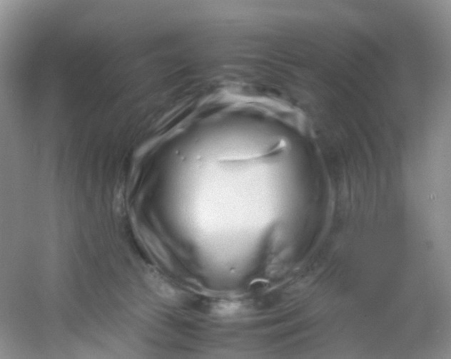 X0000054470177200508122013