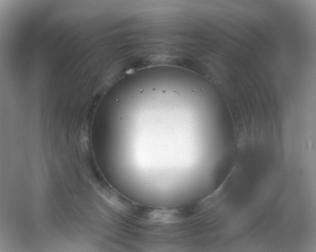 X0000054470179200508122013