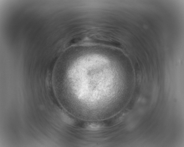 X0000054470181200508122013