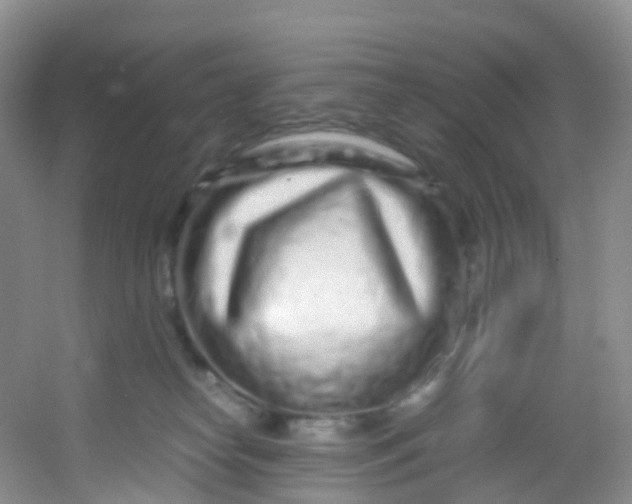 X0000054470182200508122013