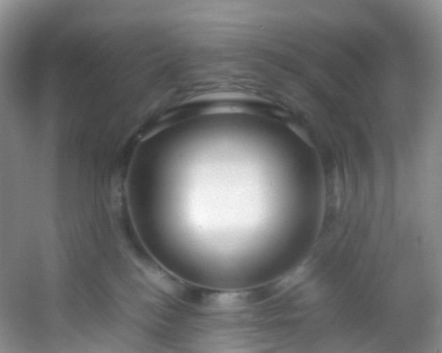 X0000054470184200508122013