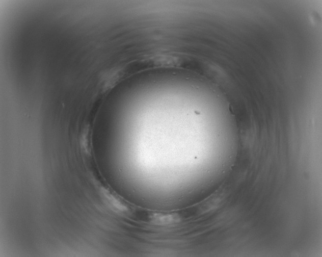 X0000054470185200508122013