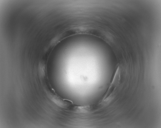 X0000054470188200508122013