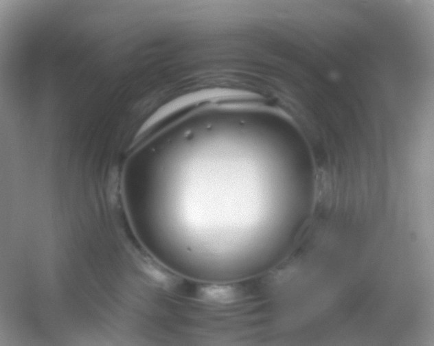 X0000054470189200508122013