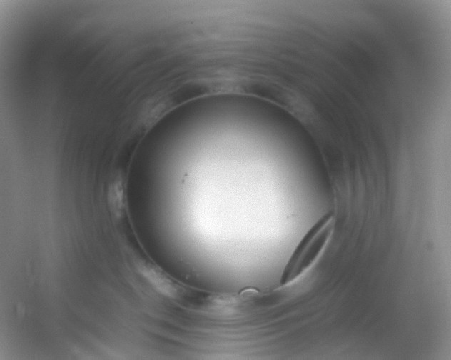 X0000054470190200508122013