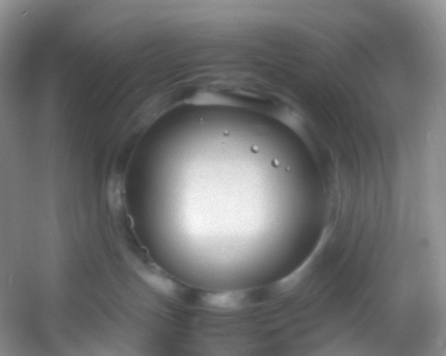 X0000054470191200508122013