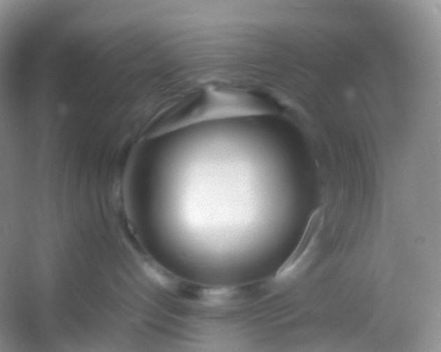 X0000054470192200508122013