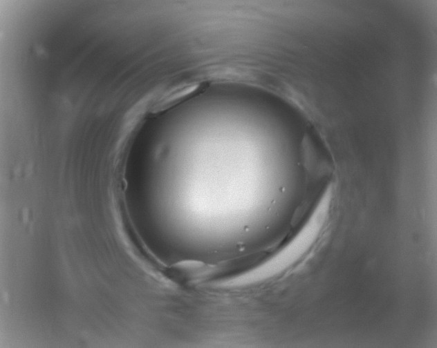 X0000054470193200508122012