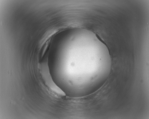 X0000054470194200508122012