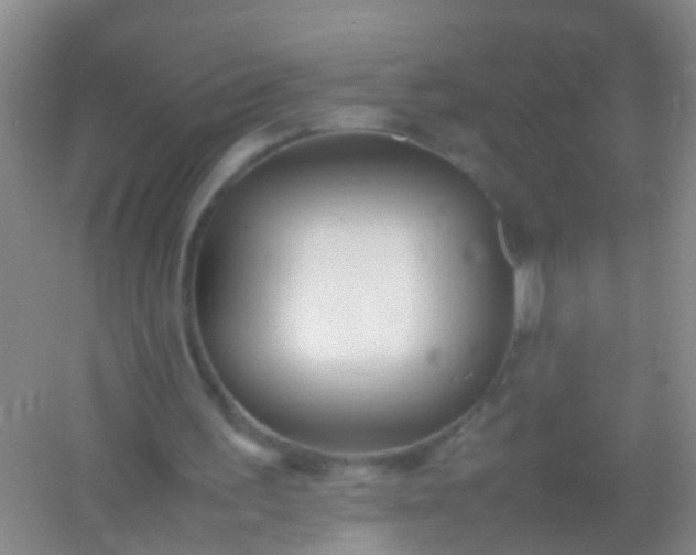 X0000054470195200508122012