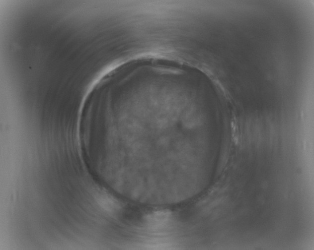 X0000054470196200508122012