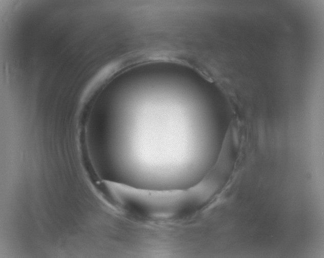 X0000054470197200508122012