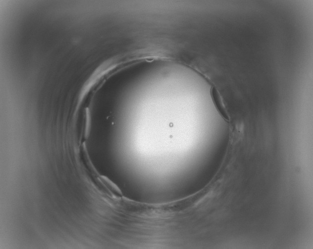 X0000054470198200508122012