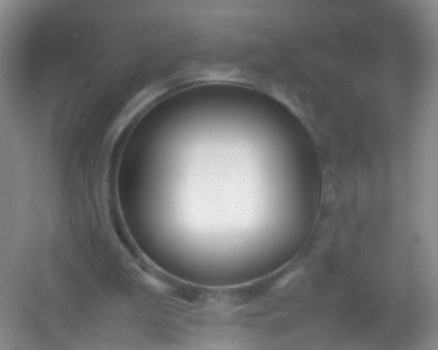 X0000054470199200508122012