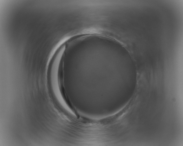 X0000054470200200508122012