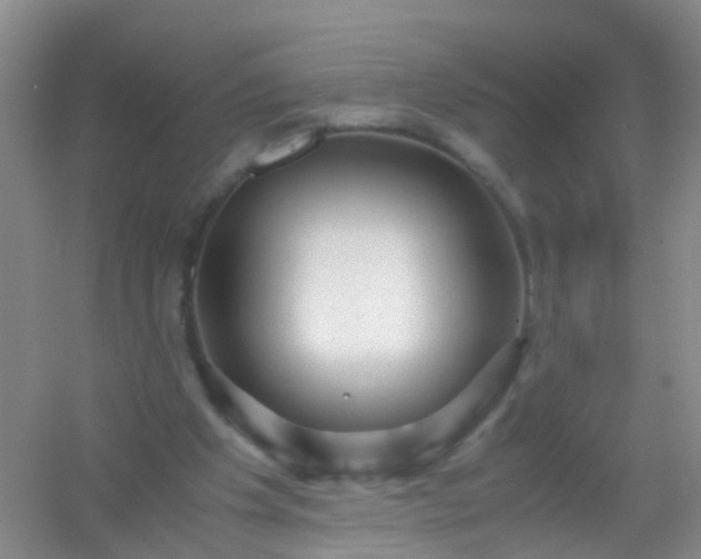 X0000054470201200508122012