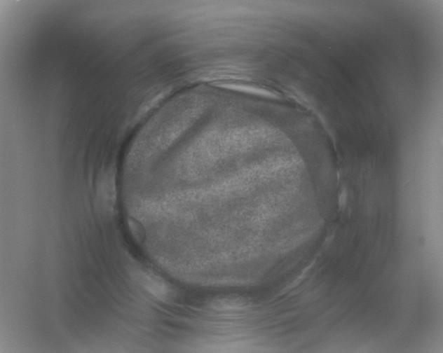 X0000054470202200508122012