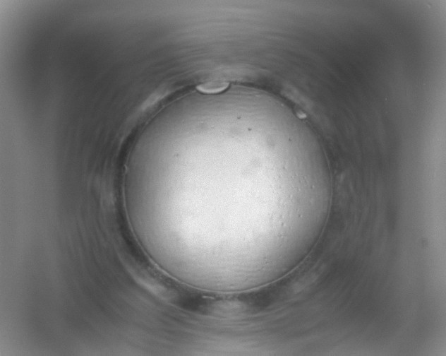 X0000054470203200508122012