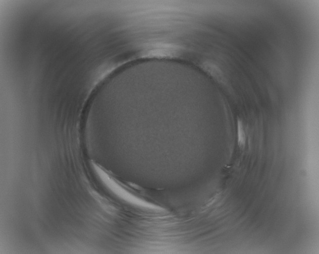 X0000054470204200508122012