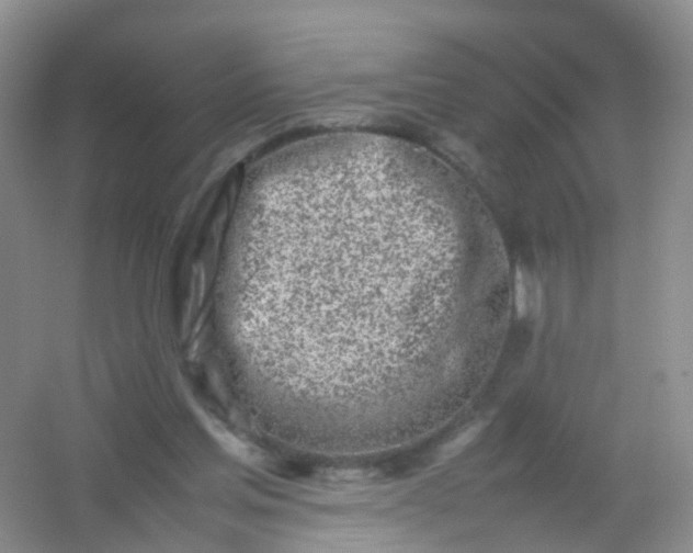 X0000054470205200508122012