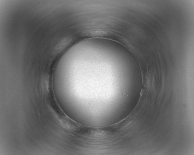 X0000054470206200508122012