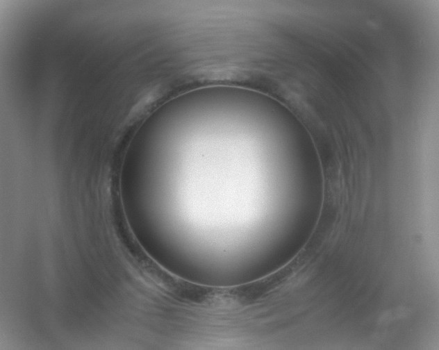 X0000054470207200508122012