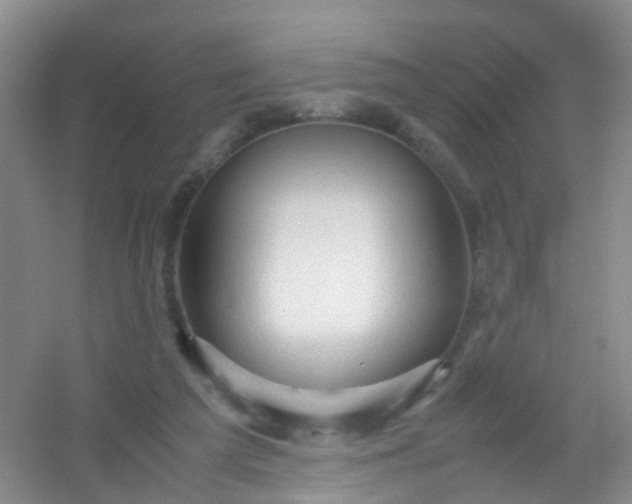 X0000054470209200508122012