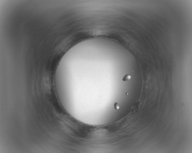 X0000054470210200508122012