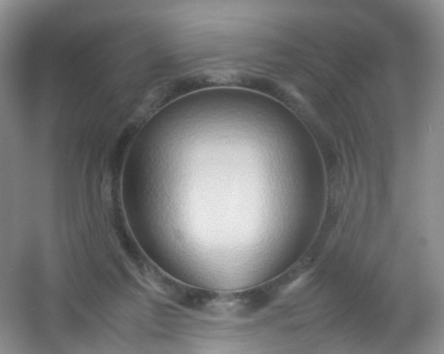 X0000054470213200508122012