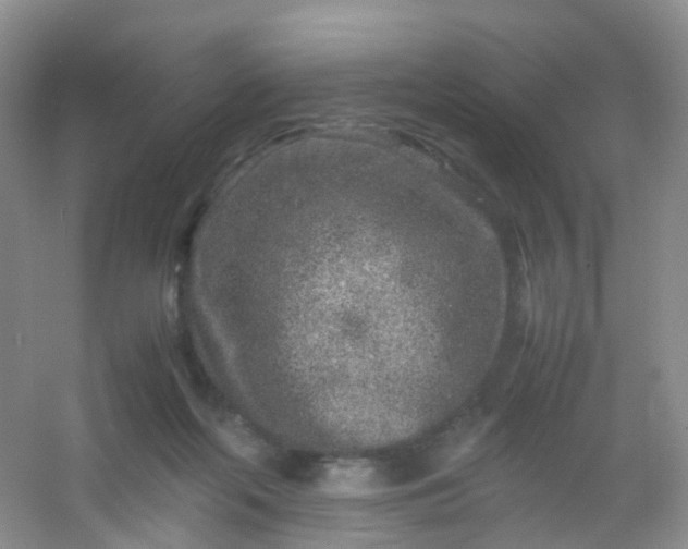 X0000054470214200508122012