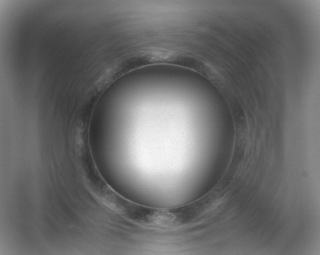 X0000054470215200508122012