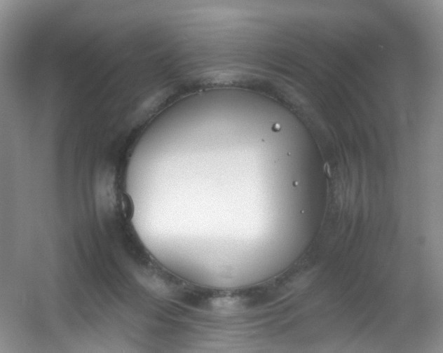 X0000054470216200508122012