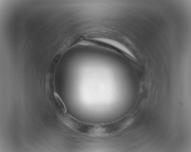 X0000054470217200508122012