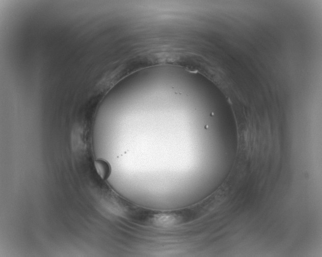 X0000054470218200508122012