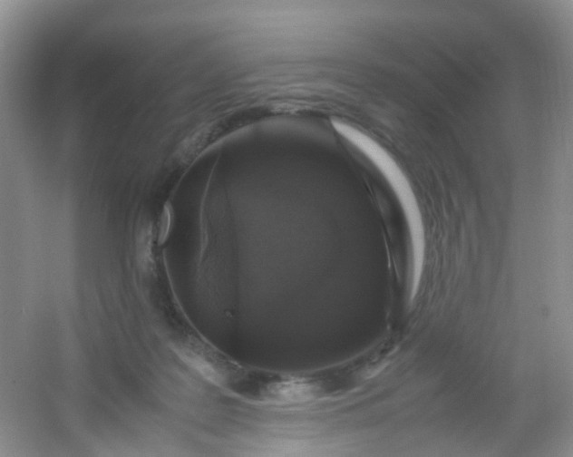 X0000054470219200508122012