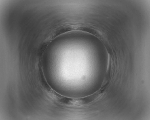 X0000054470221200508122012