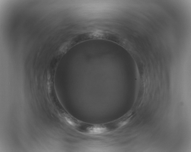 X0000054470223200508122012