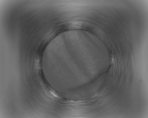 X0000054470224200508122012