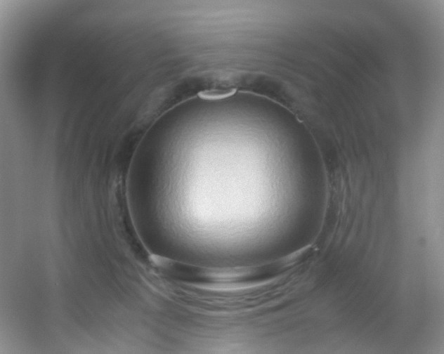 X0000054470225200508122012