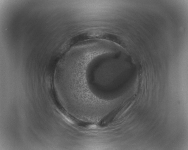 X0000054470227200508122012