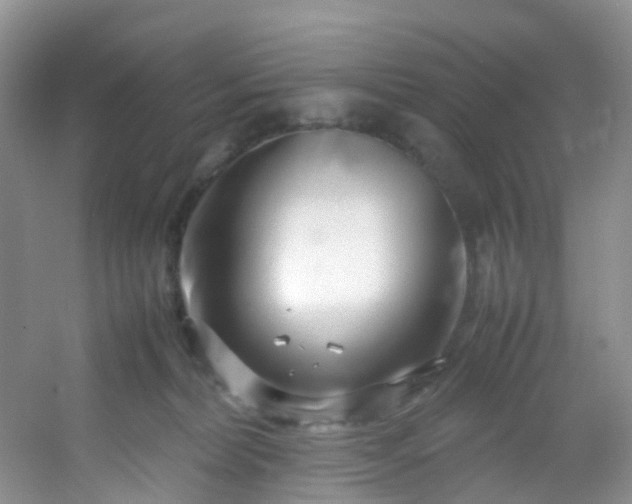 X0000054470228200508122012