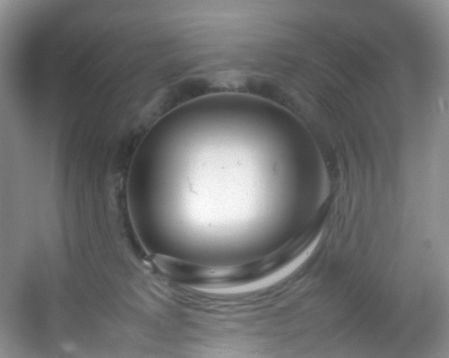 X0000054470229200508122012