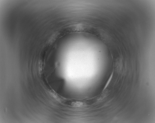 X0000054470230200508122012