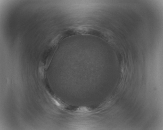 X0000054470231200508122012