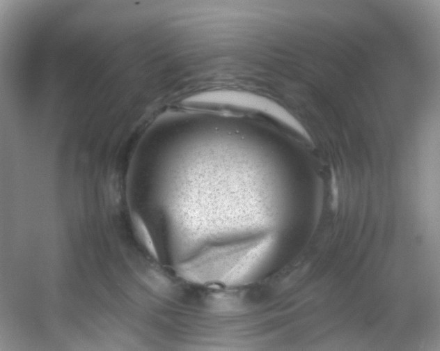 X0000054470232200508122012