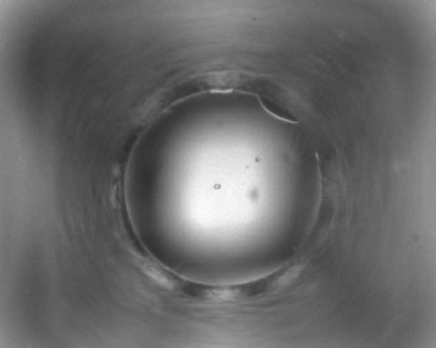 X0000054470233200508122012